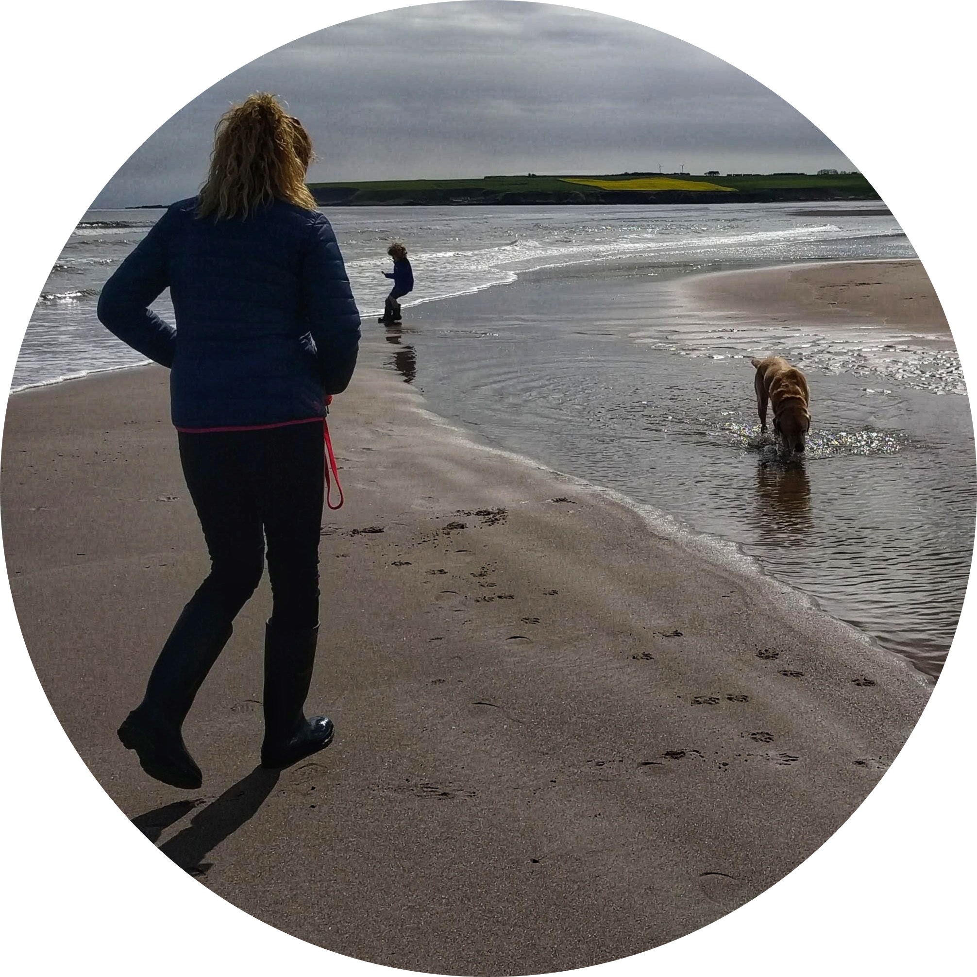 Go to the profile of Jill Stewart