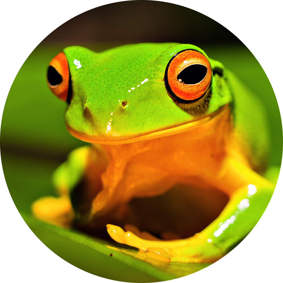 Go to the profile of Andrew Gogarty