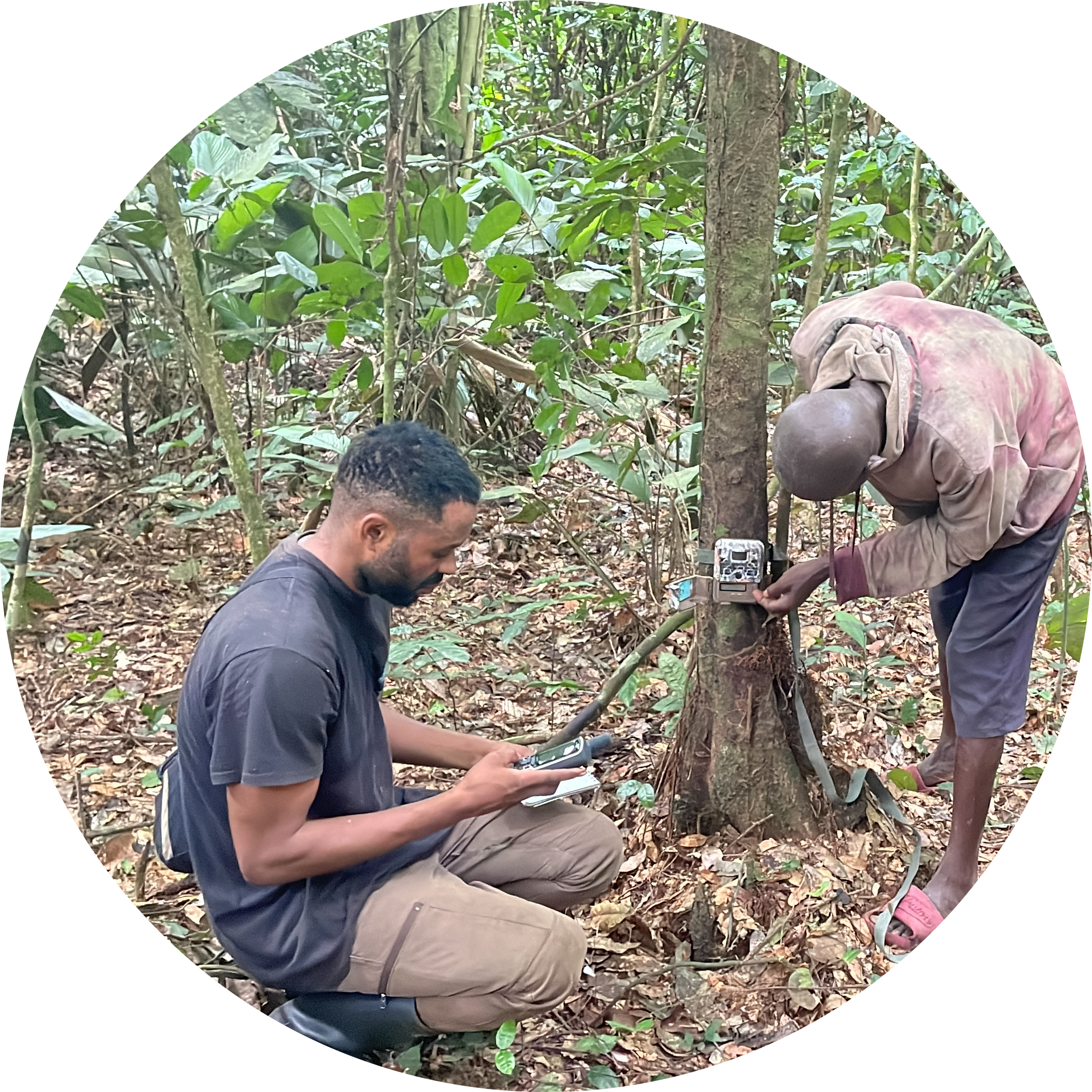 Go to the profile of Dalley-Divin SAA-SITA