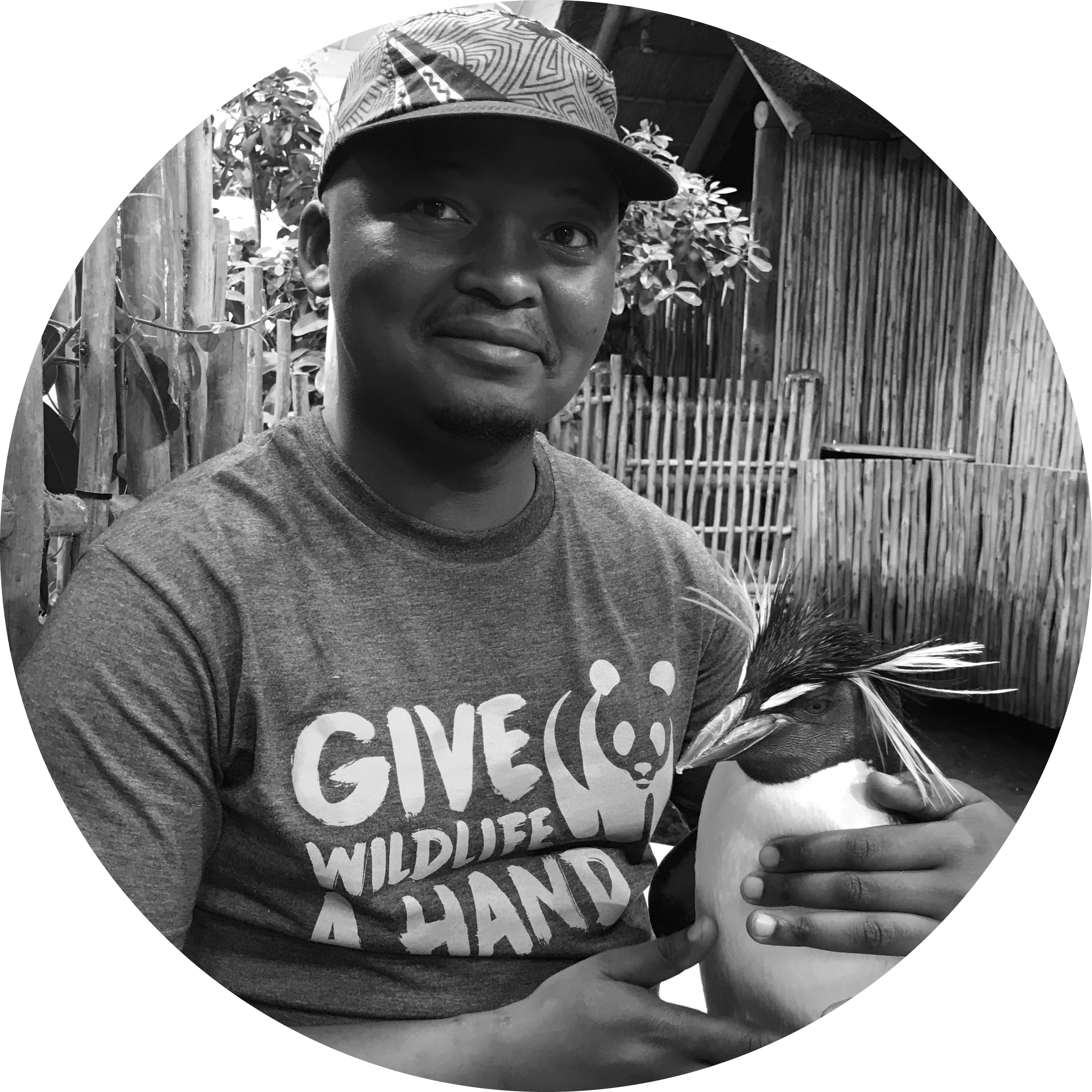 Go to the profile of Onkemetse Nteta