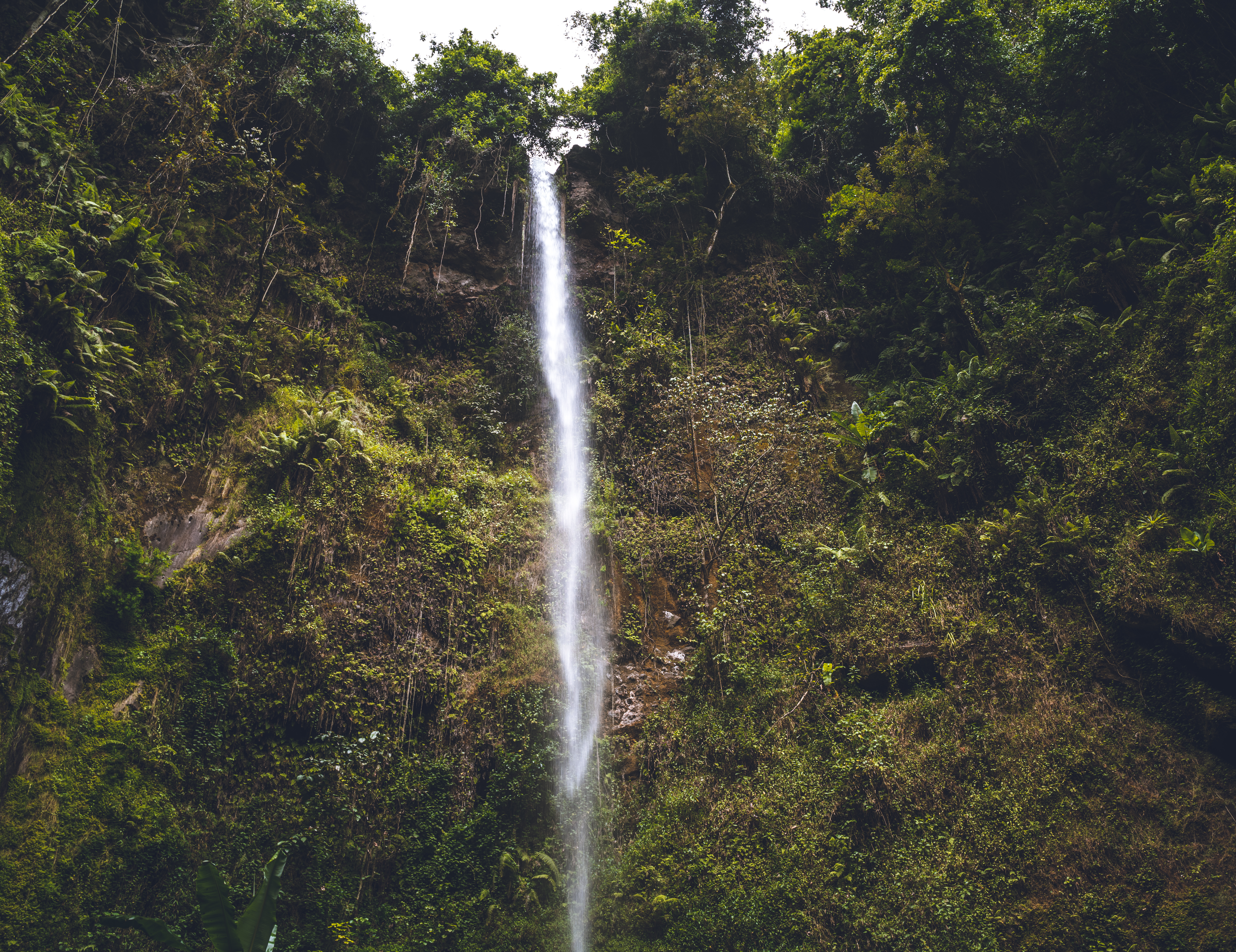 Hello! My name is Victoria