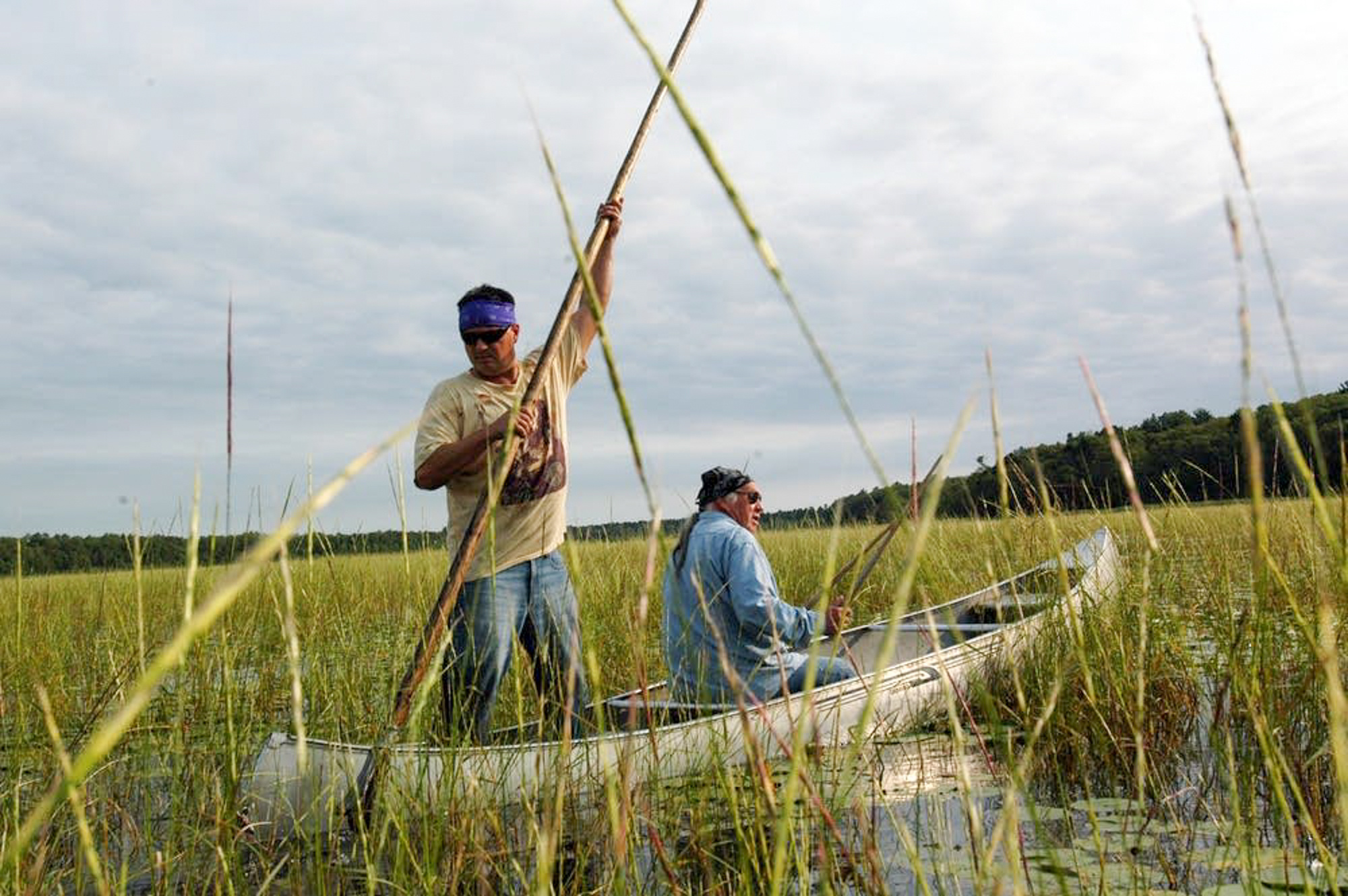 June 10: Rights of Nature by Tribal and First Nations learning session (Co-creation with the More-than-Human sandbox)
