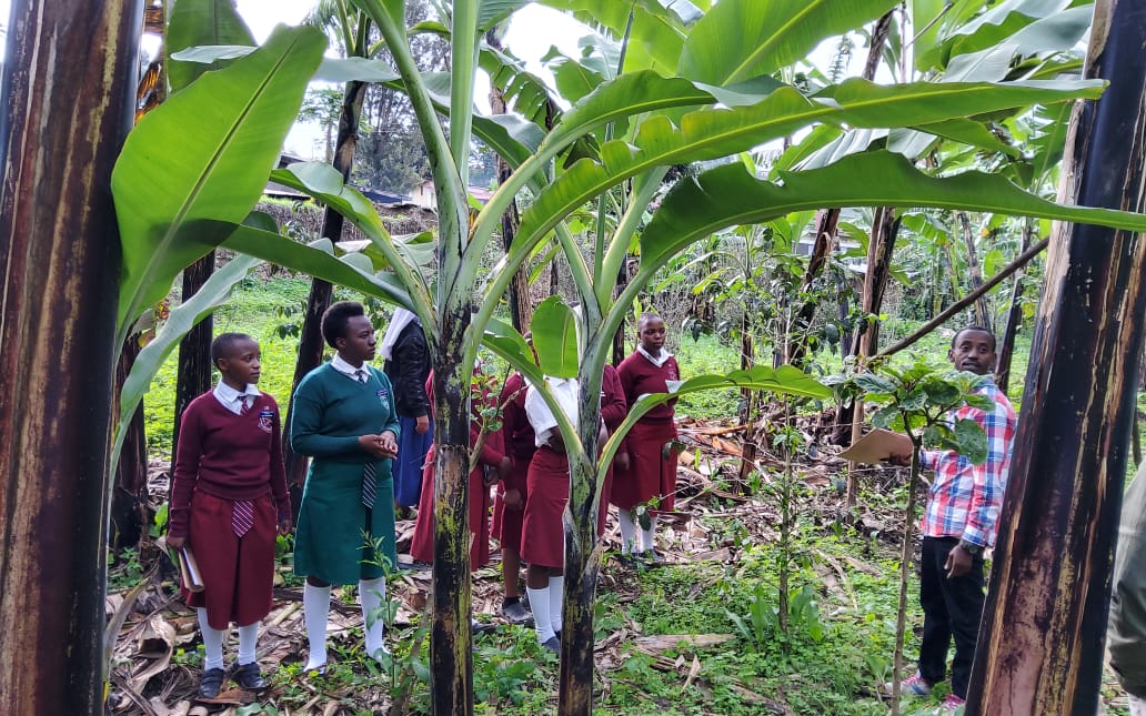 How Women and Girls are contributing to global solutions for Food insecurity and the climate Crisis. 
