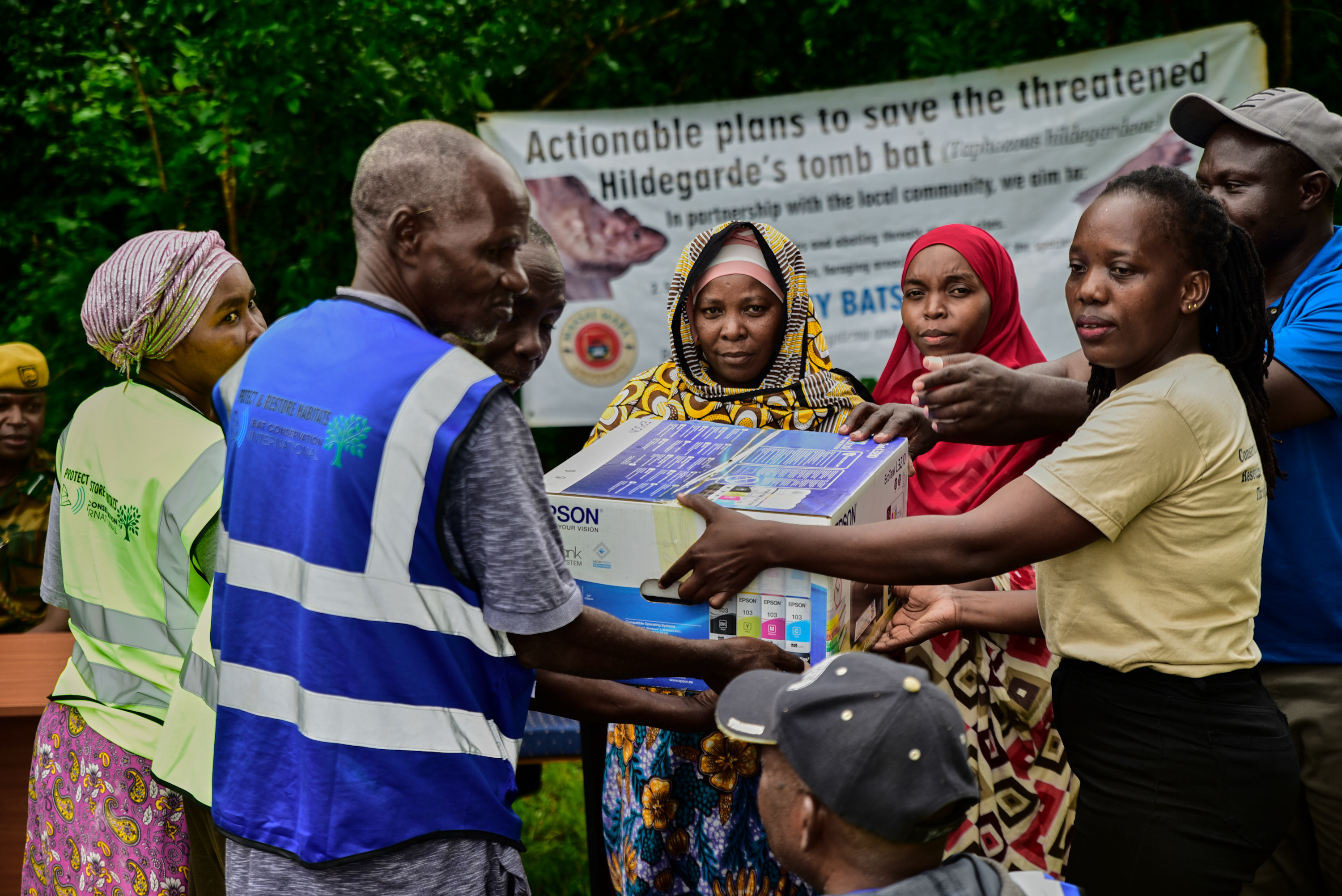 Saving the Hildegard's Tomb Bat