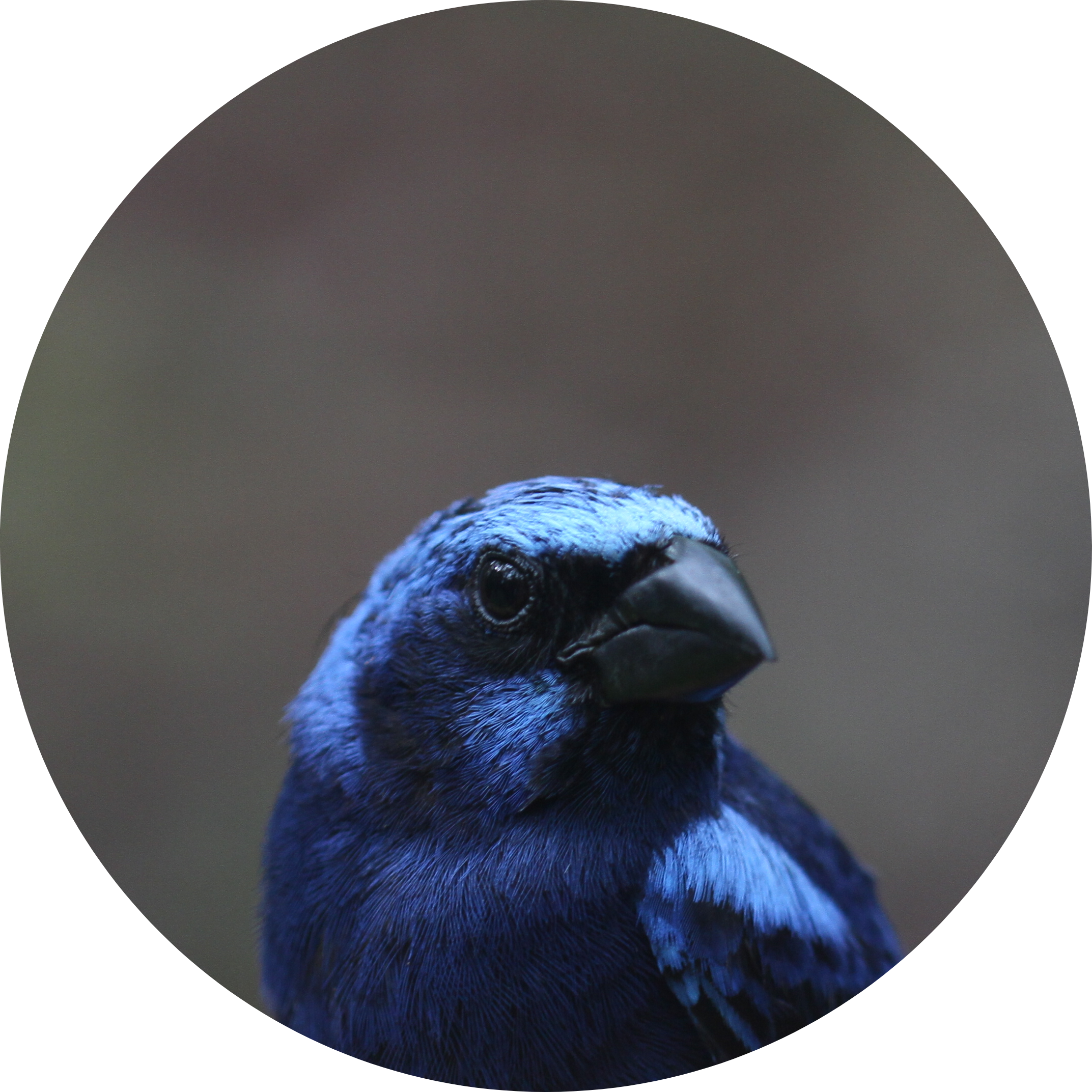 Go to the profile of Abbie