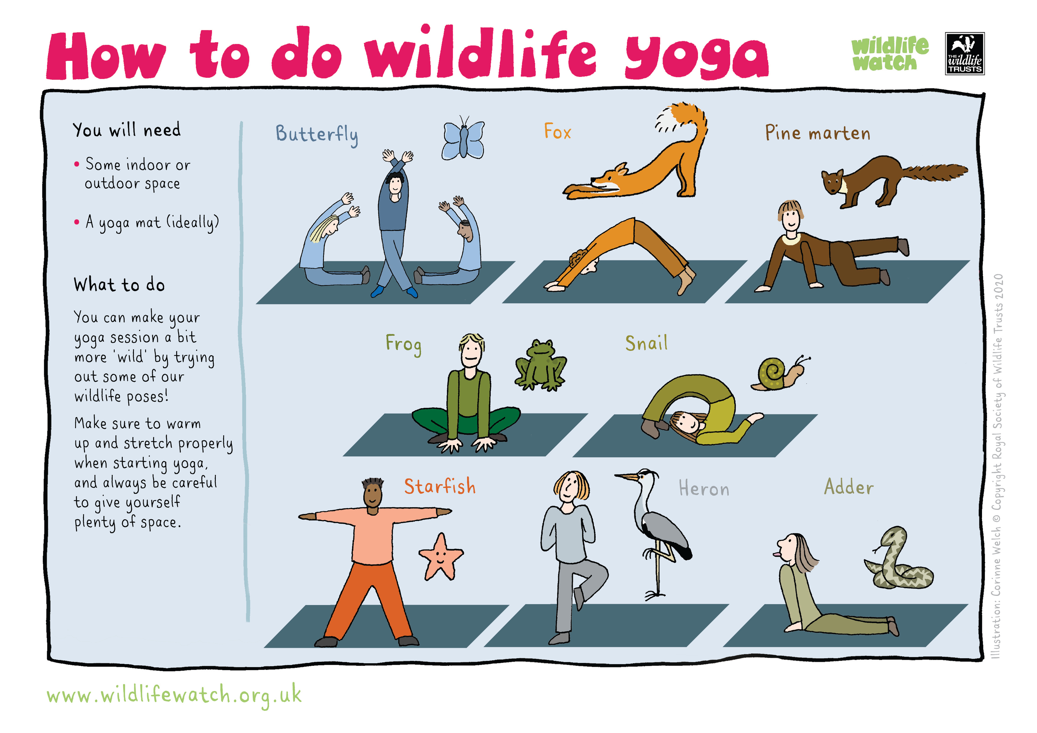Event: Wildlife yoga