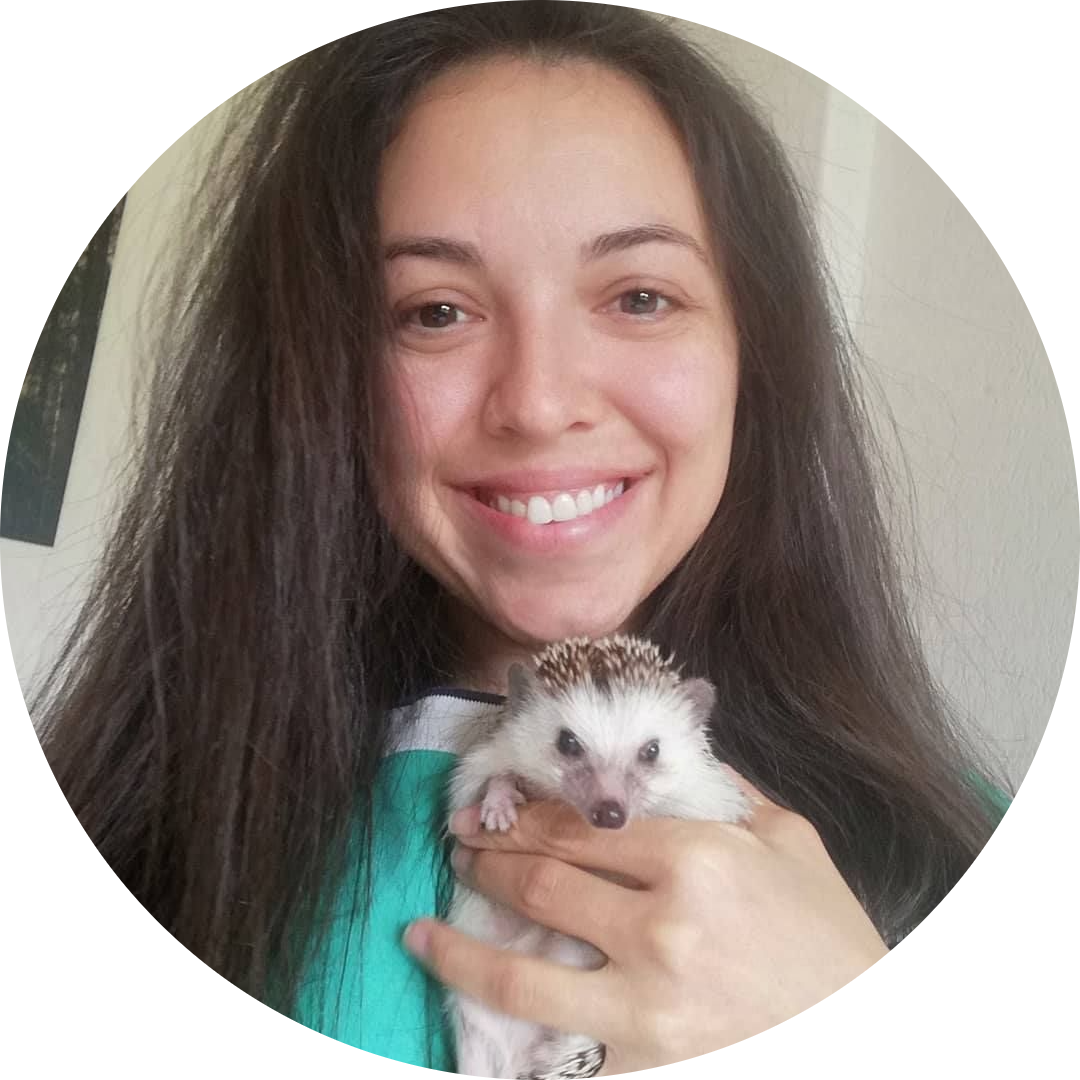 Go to the profile of Ani Dimitrova