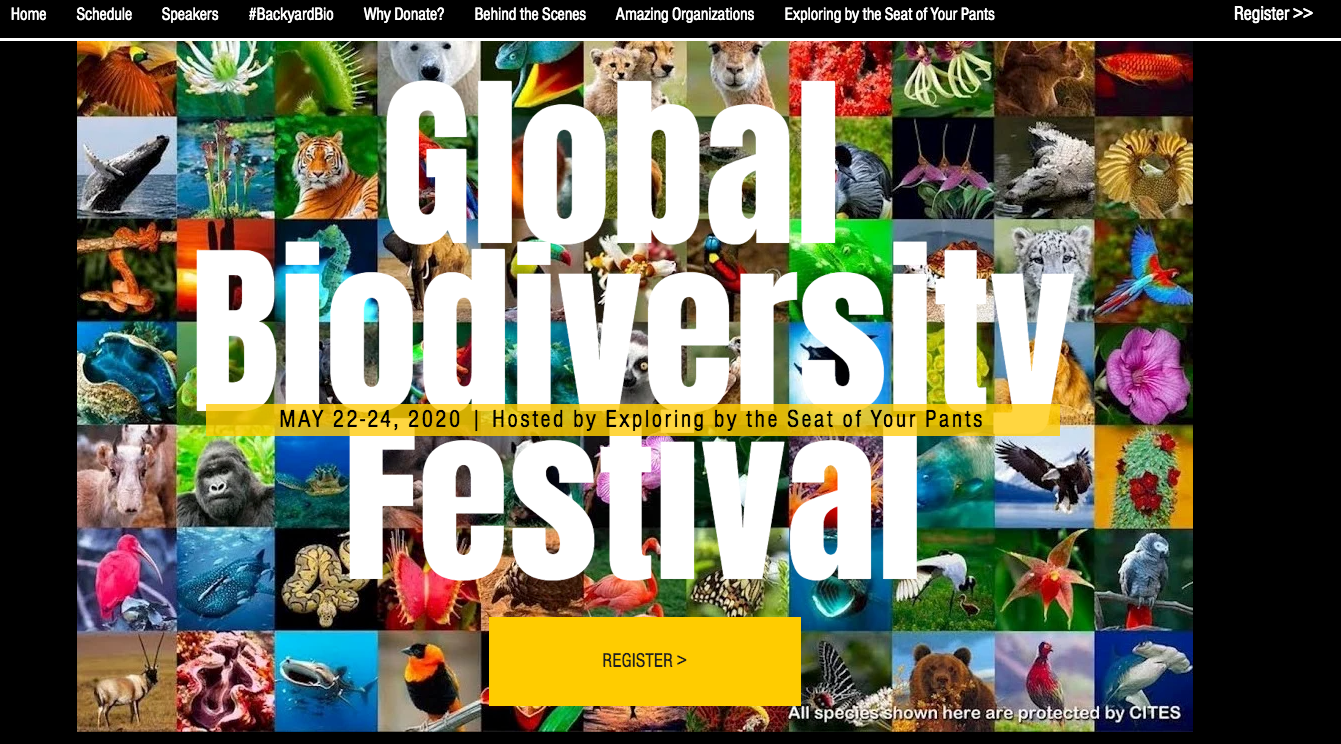 The Global Biodiversity Festival 22-24 May
