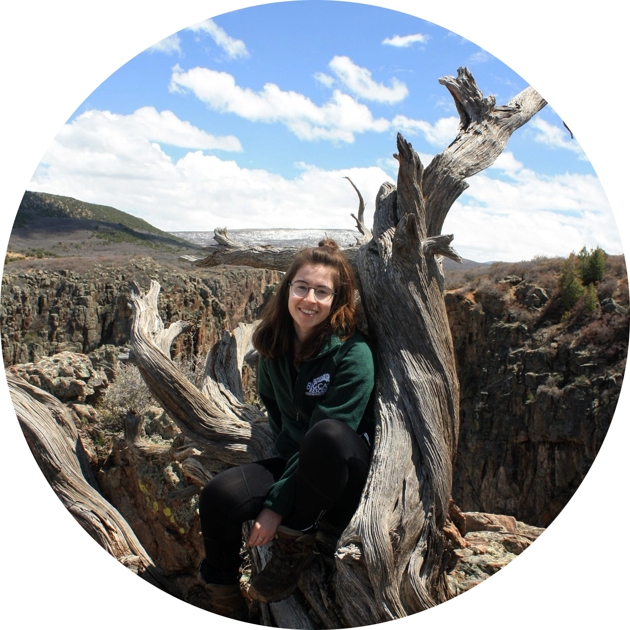 Go to the profile of Helena Parsons