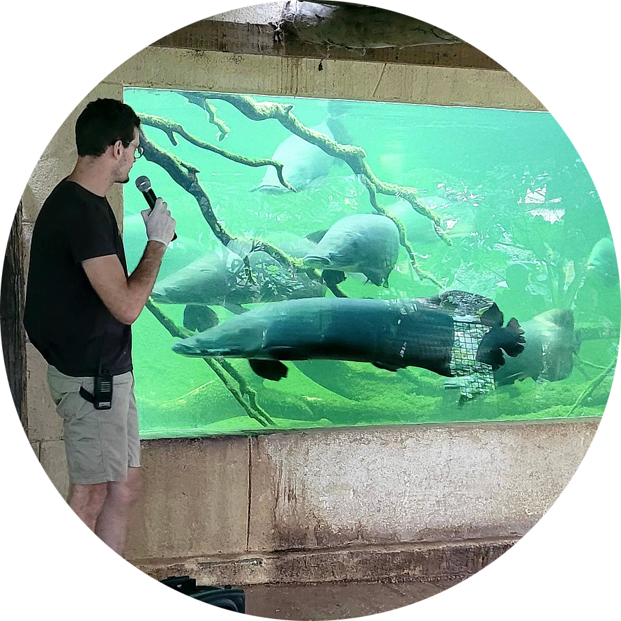 Go to the profile of Fabien RAOUANE