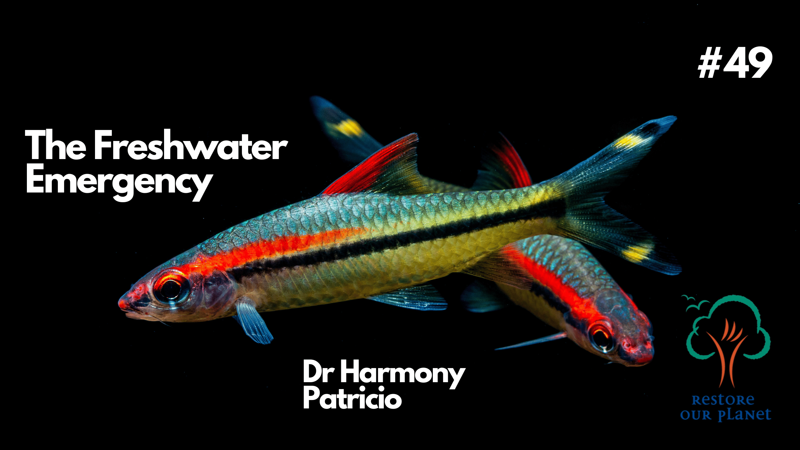 Restore Our Planet Podcast #49 The Freshwater Emergency: Dr Harmony Patricio