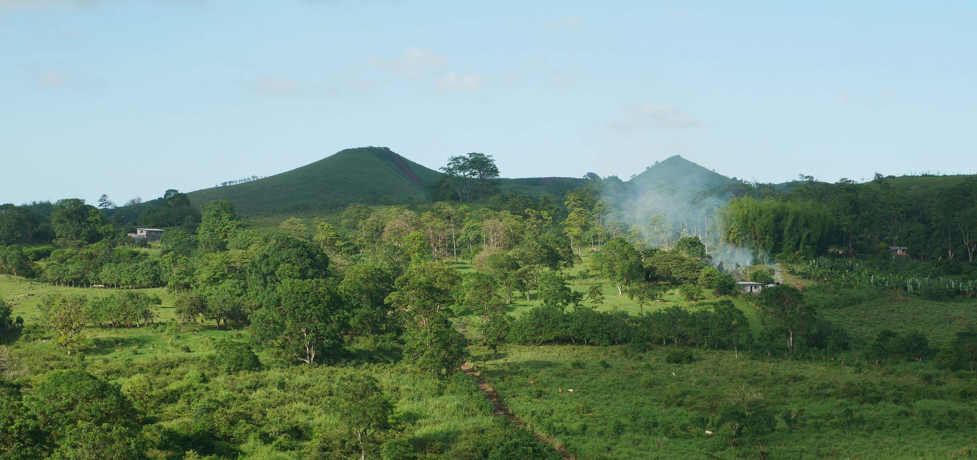 Designing community programs for conservation