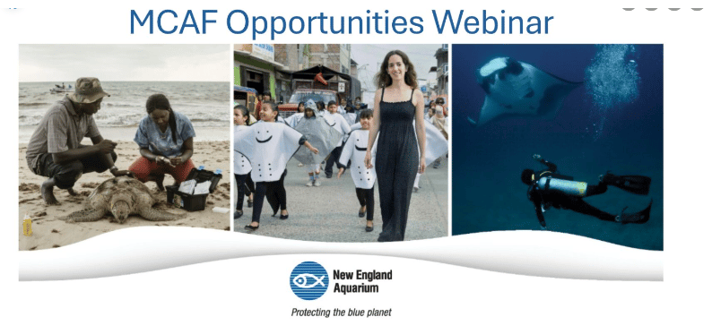 24 Oct: MCAF Opportunities Webinar