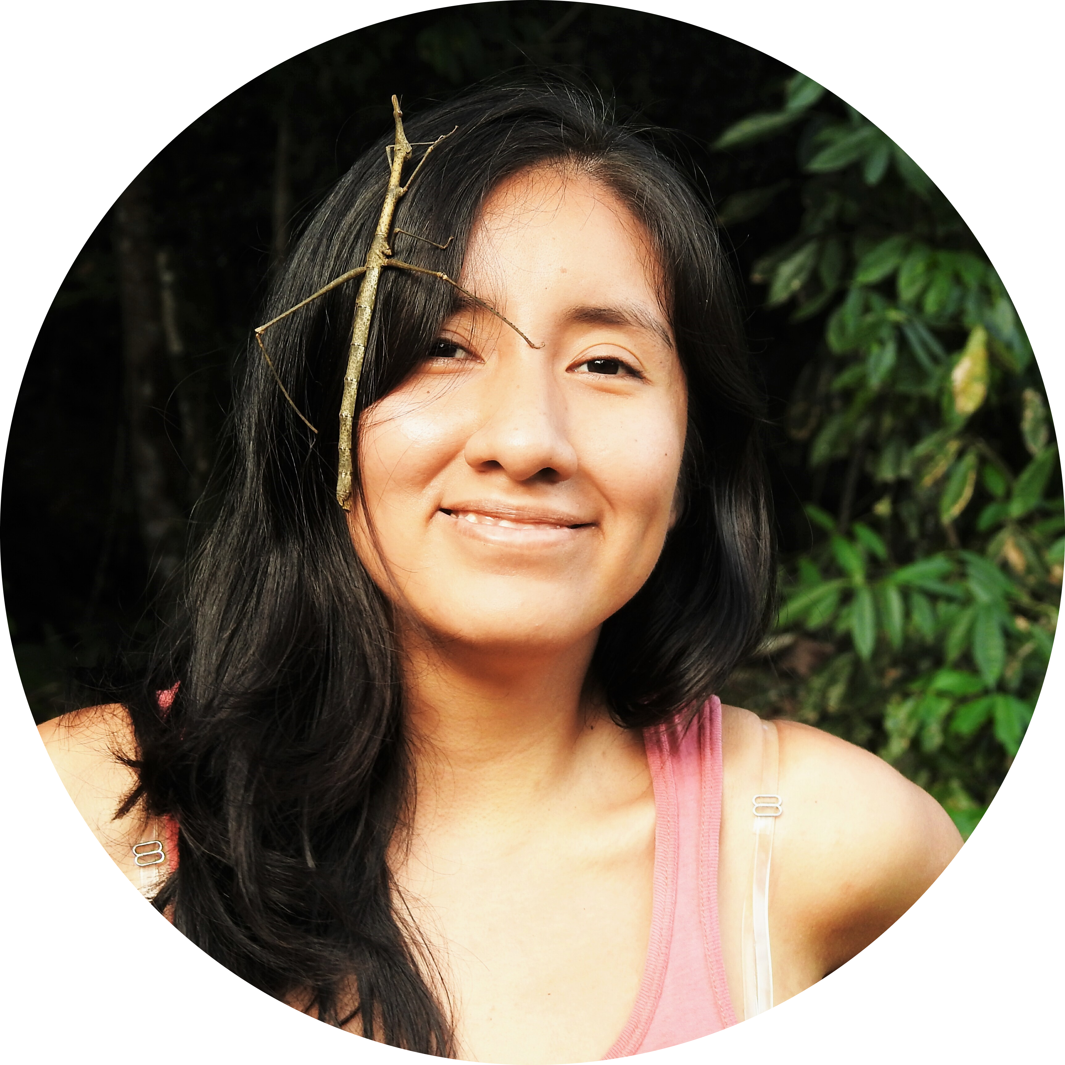 Go to the profile of Juriko Rupay