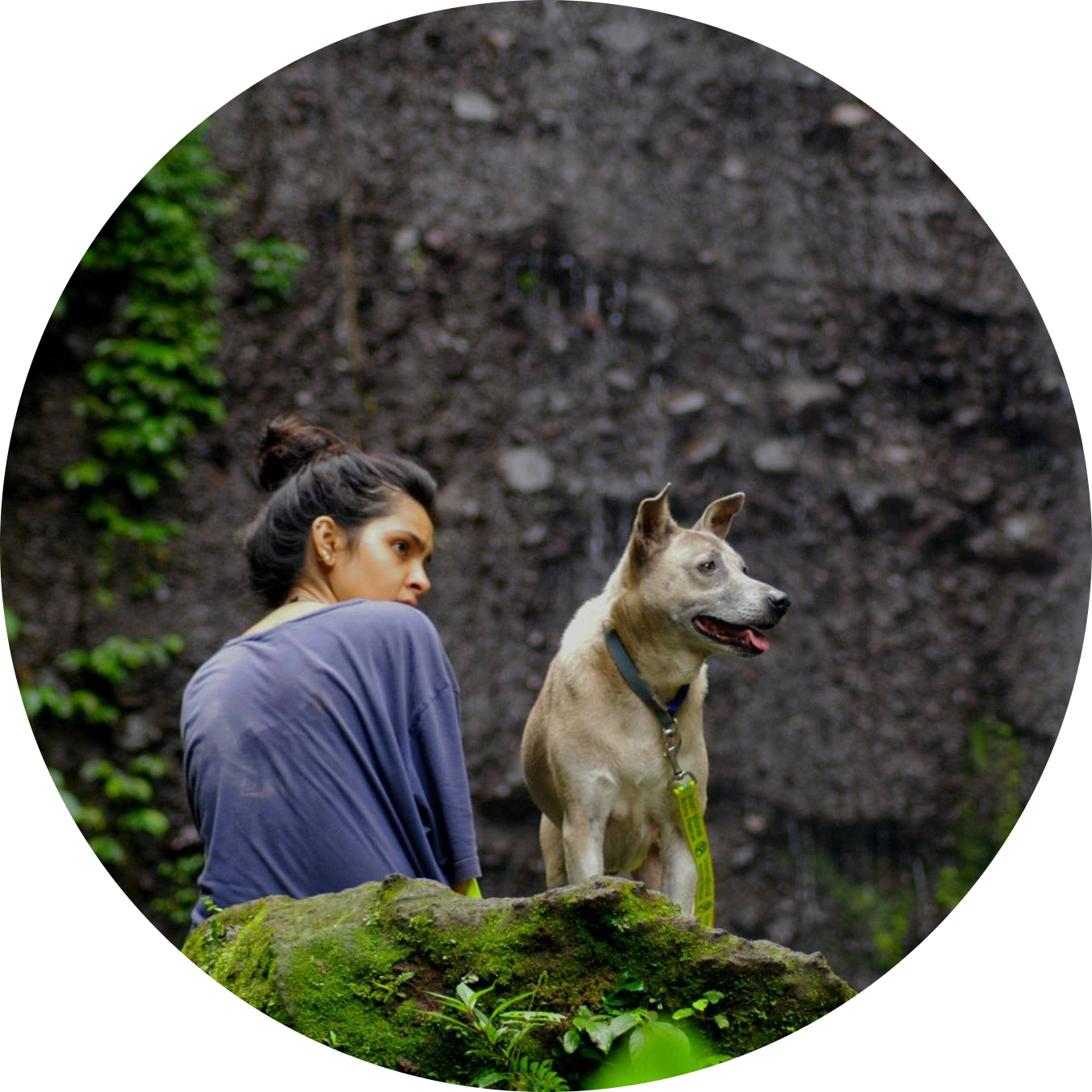 Go to the profile of Namrata