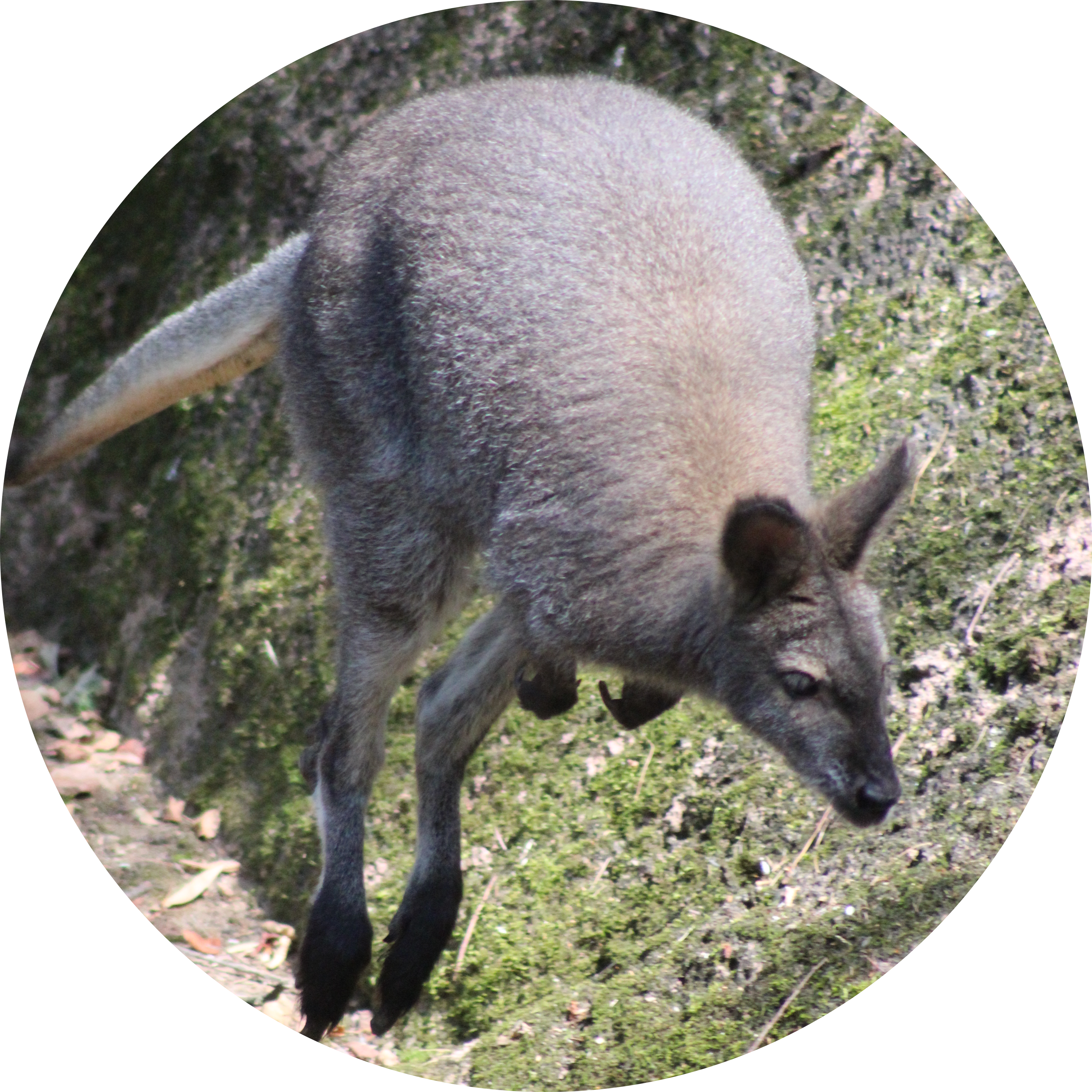 Go to the profile of Hayley Rocco