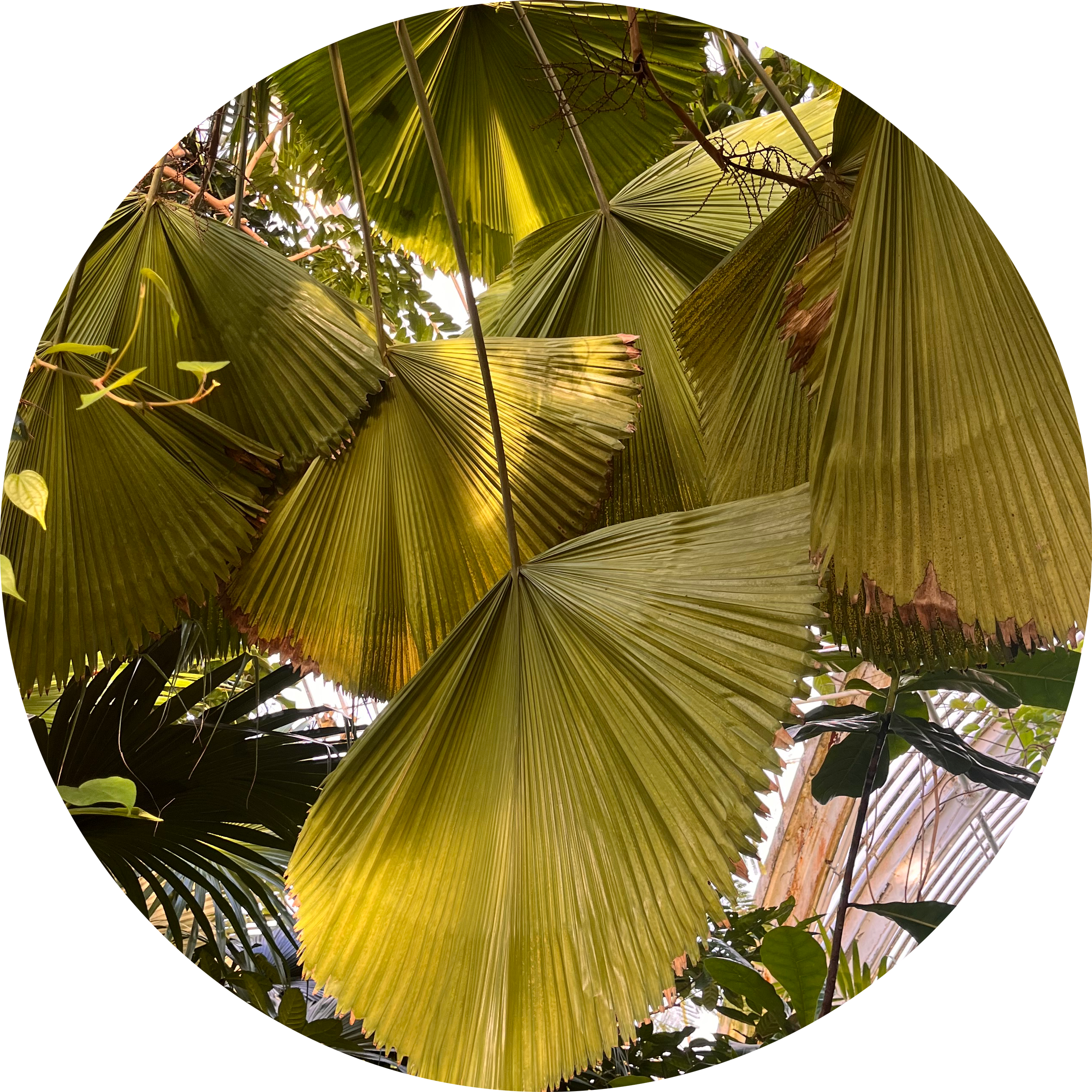 Go to the profile of Emily Fagan