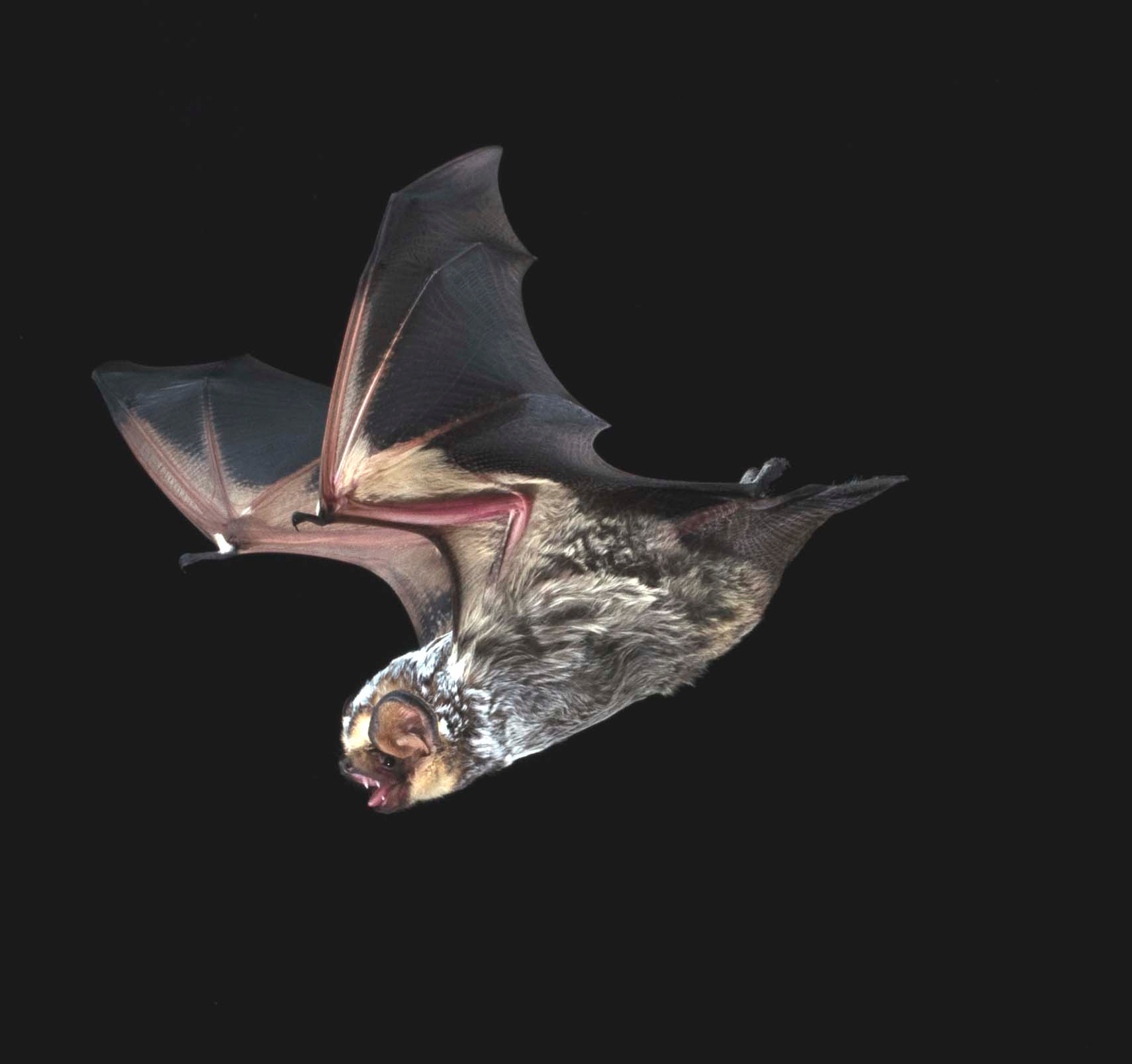 Hi, my name is Alannah