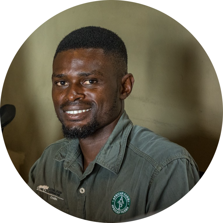 Go to the profile of Paul chinyama