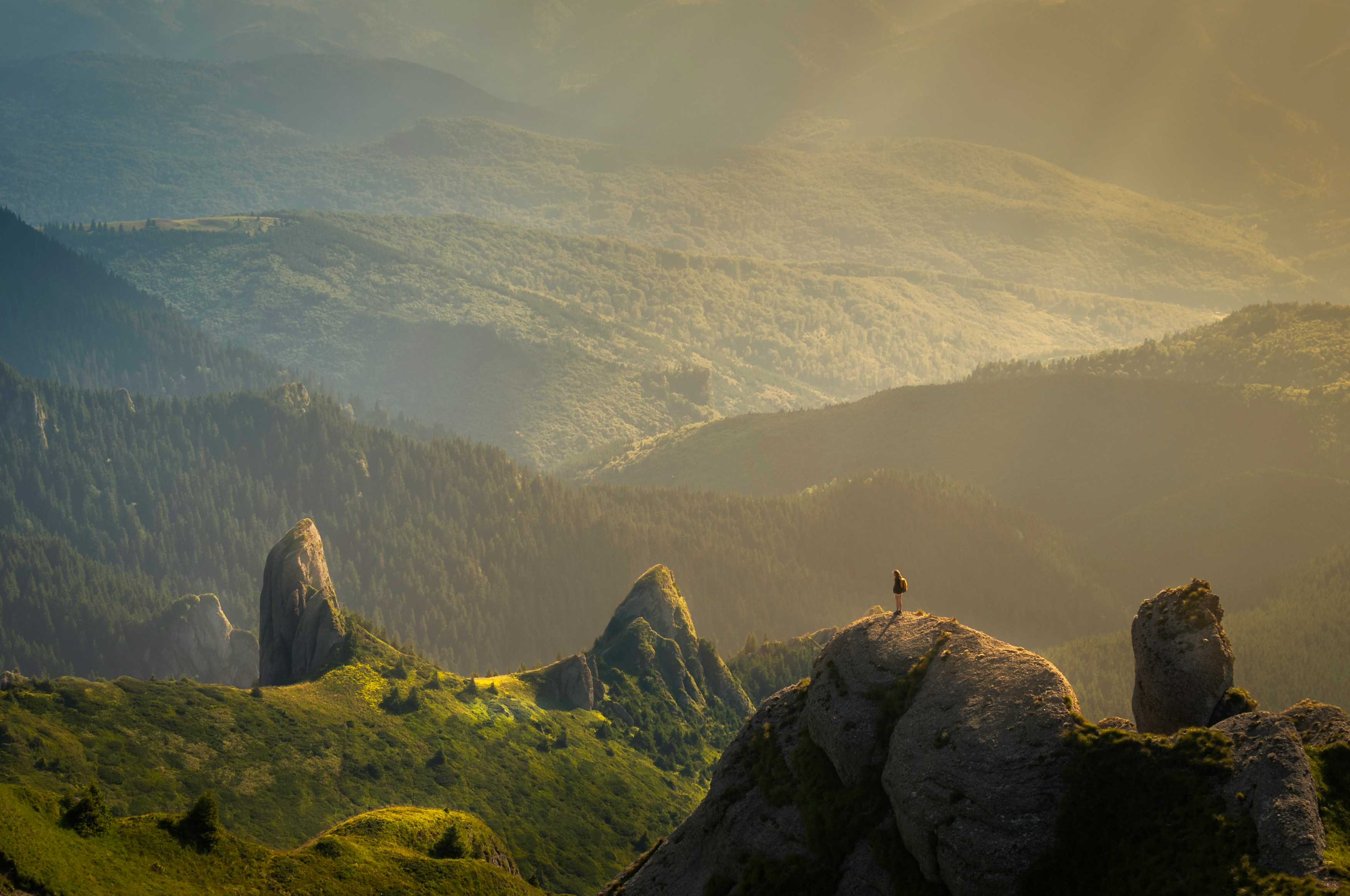Webinar | What is the Conservation Professional Development Programme?