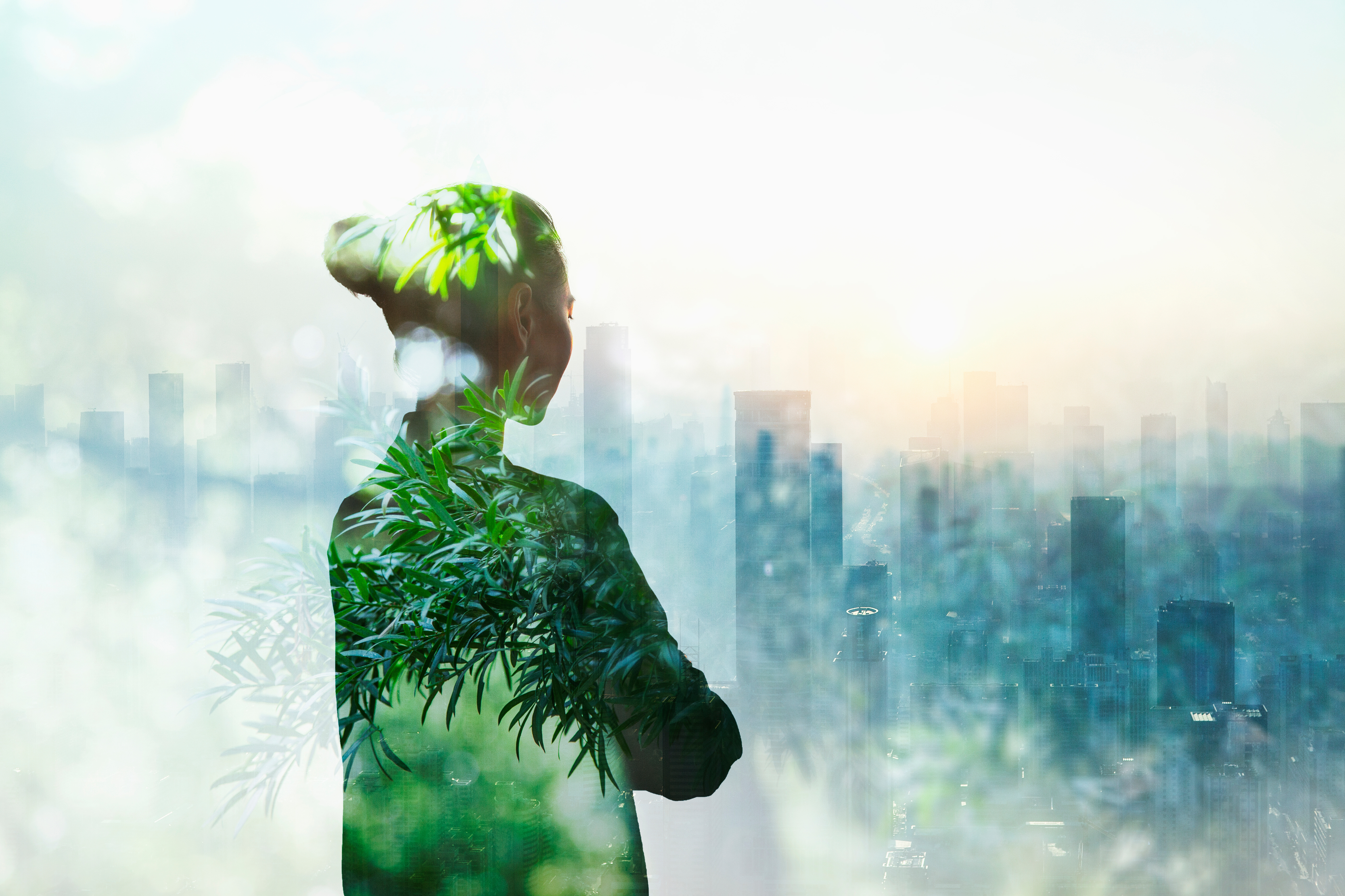Webinar | Conservation career switch success stories