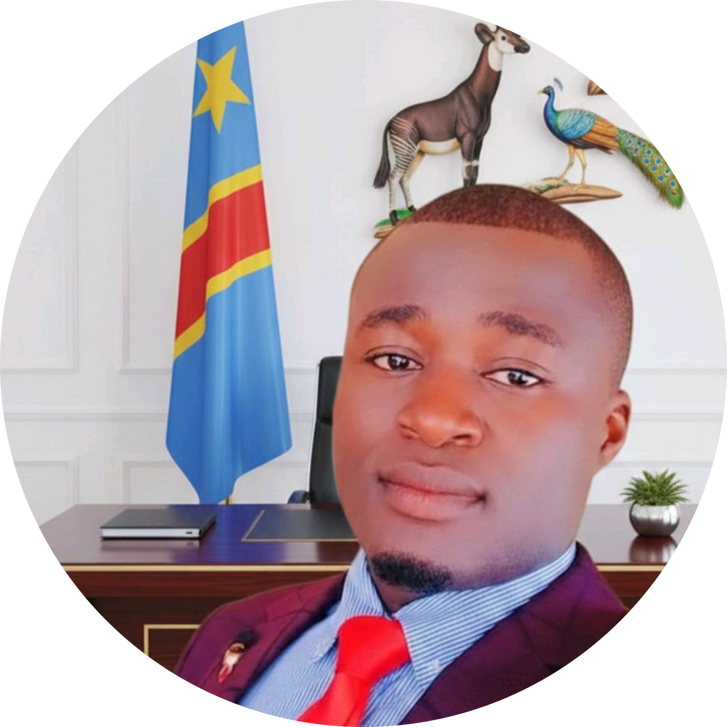 Go to the profile of Franck Imaku